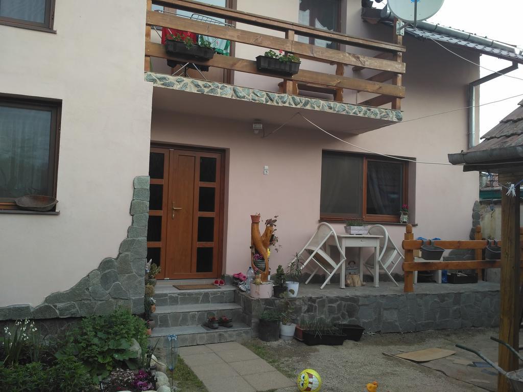 Casa Teo Hotel Ocna Sibiului Exterior photo
